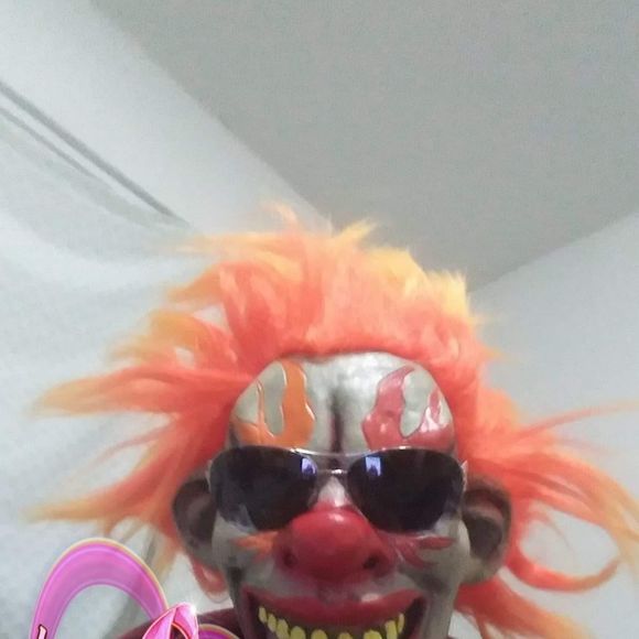 Meet your Posher, Ramon - Picture 1 of 1